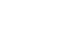 Nerostep